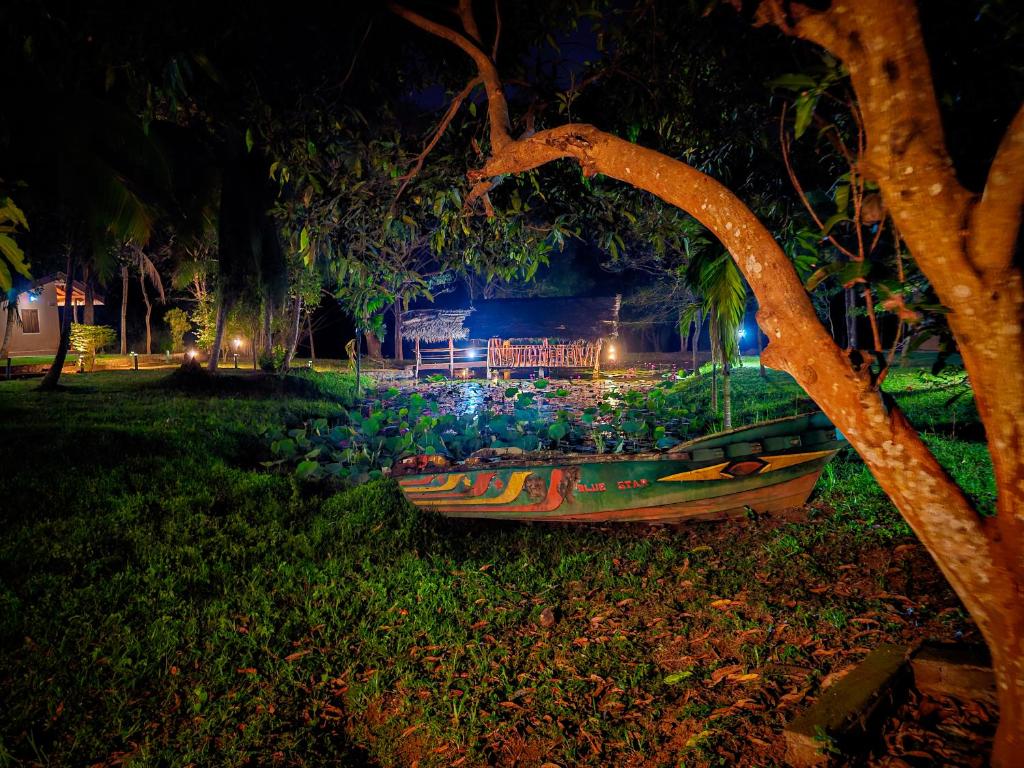 a boat sitting on the grass in a park at night at River Edge Safari Cottage in Udawalawe