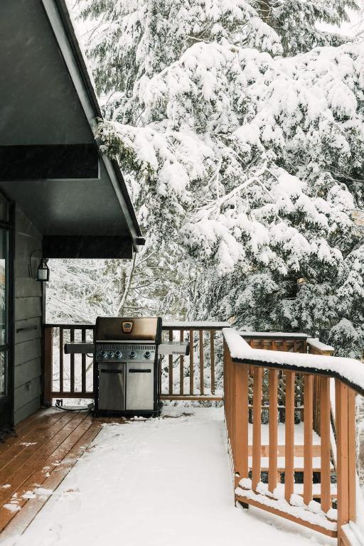 Alpine Lake House - Waterfront on Lake Muskoka v zimě