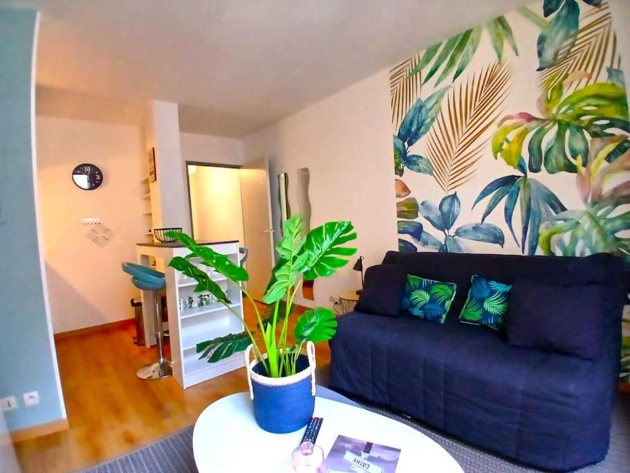 ein Wohnzimmer mit einem blauen Sofa und einer Pflanze in der Unterkunft Studio cosy au cœur de Nîmes. in Nîmes