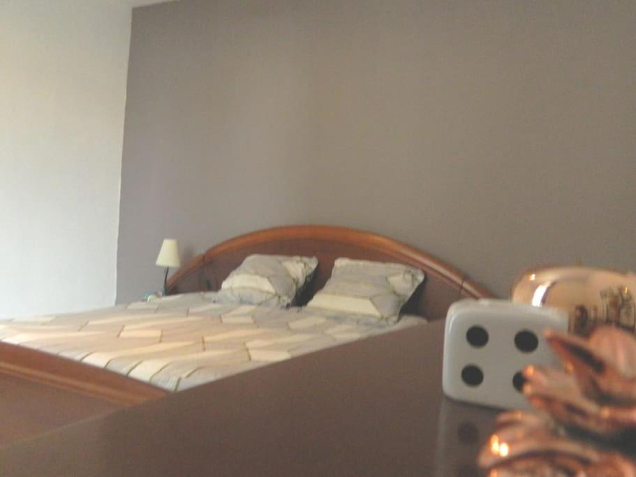 Postel nebo postele na pokoji v ubytování Appartement de caractère