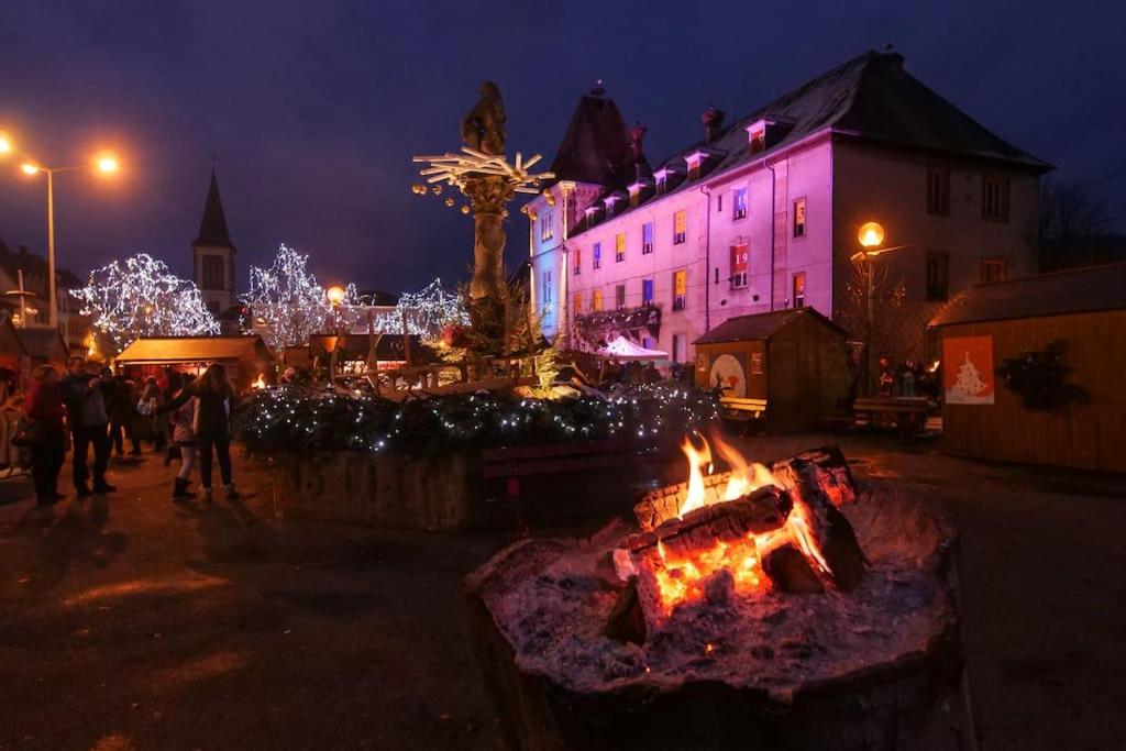 Fotografie z fotogalerie ubytování Appartement de caractère v destinaci Munster