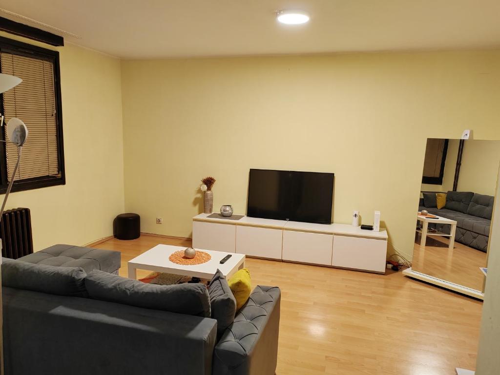 ein Wohnzimmer mit einem Sofa und einem Flachbild-TV in der Unterkunft Stan na dan in Zrenjanin