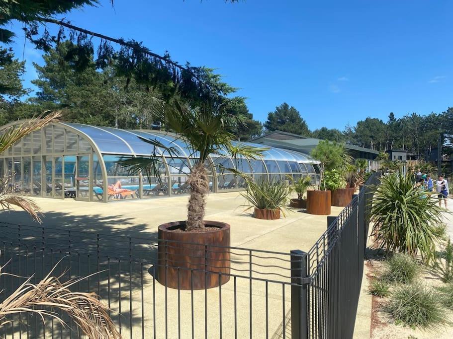 clôture avec un palmier devant une serre dans l'établissement Cottage avec piscine à 300m de la plage, à Jullouville