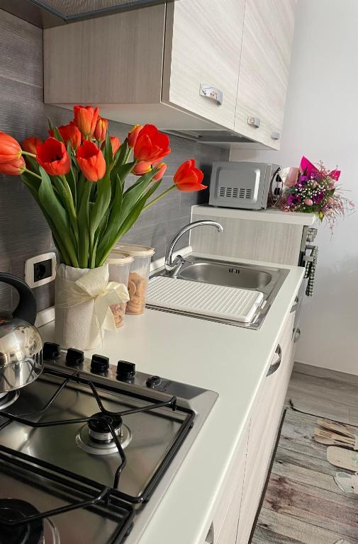 Kuchnia lub aneks kuchenny w obiekcie B&B Bovianum