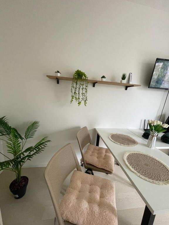 Relax Apartments Brno center - 4