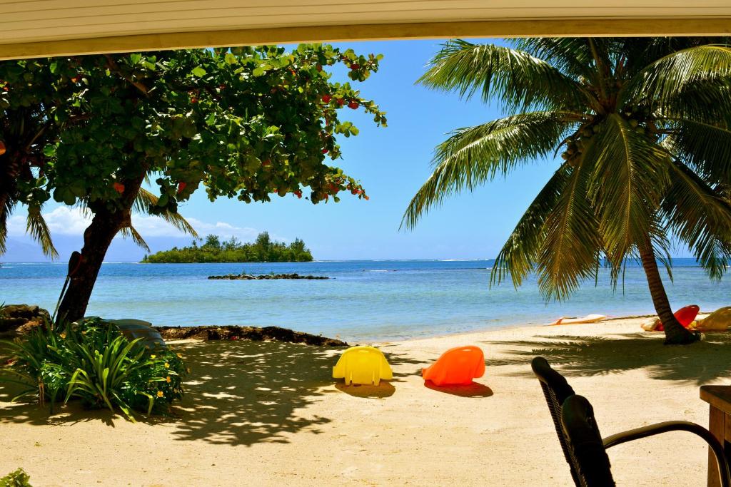 a beach with two palm trees and the ocean at Te Ora Hau Ecolodge in Afareaitu