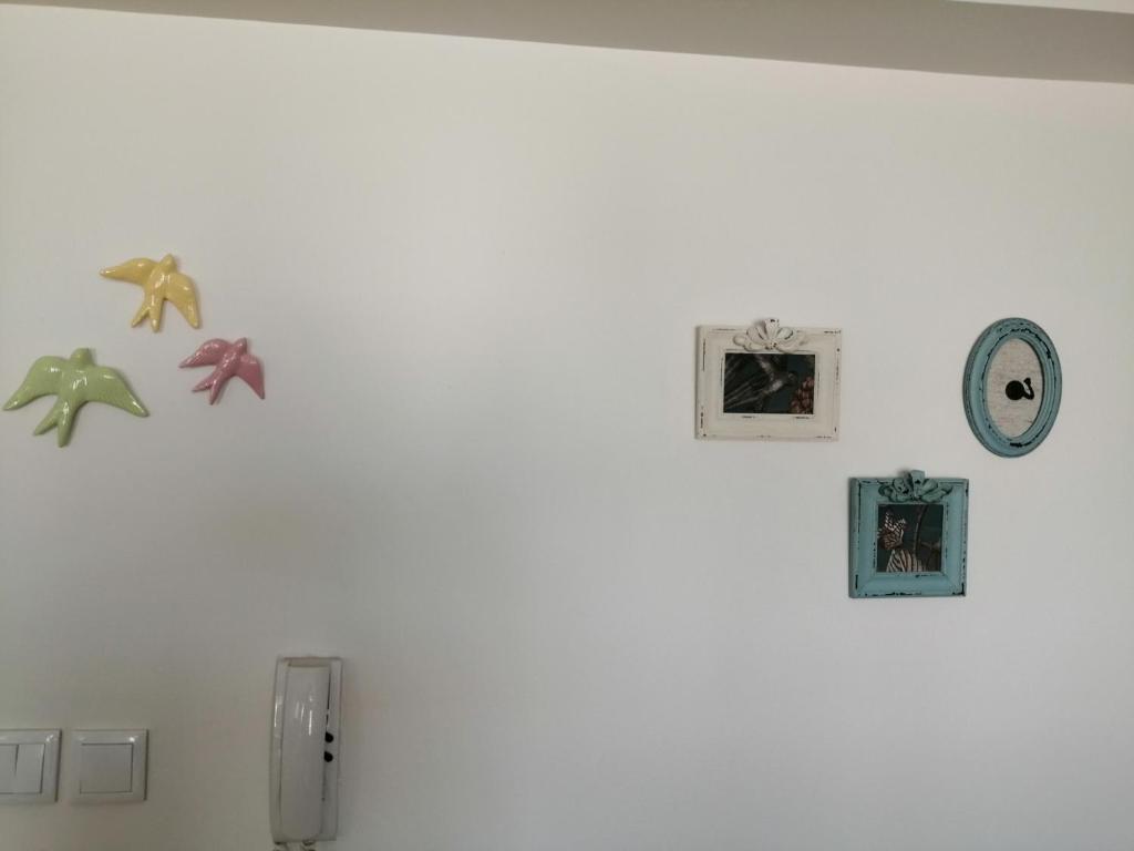 zélu apartamento centro da Guarda - 16