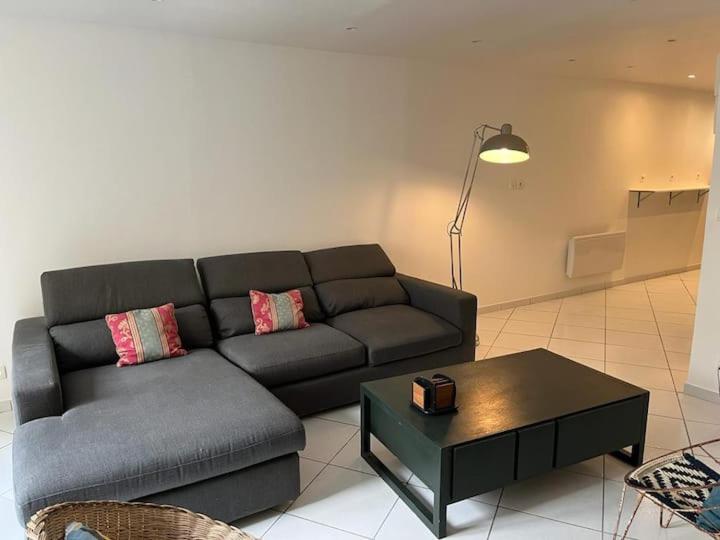 un salon avec un canapé et une table basse dans l'établissement maison proche du château Versailles, à Versailles