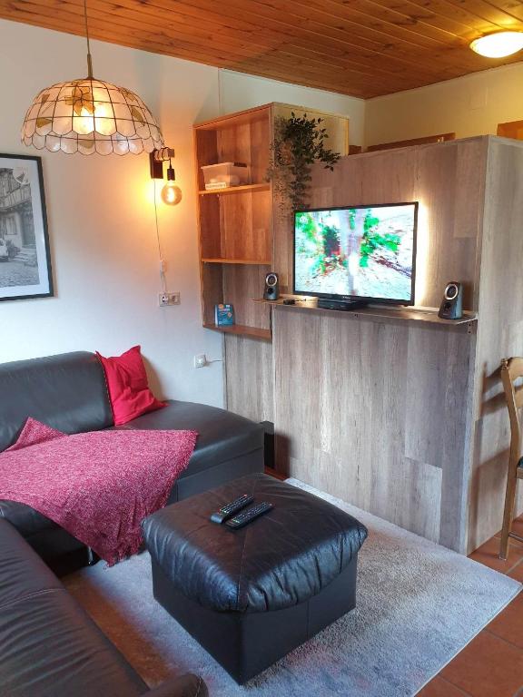 A television and/or entertainment centre at Ferienhaus Schäfer - Apartments - Wintersports - Family holiday - Holiday with your dog - Rural & Scenic