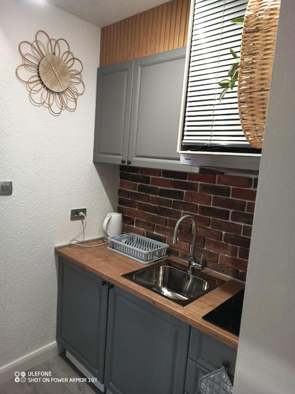 Kuchyň nebo kuchyňský kout v ubytování Silver Room
