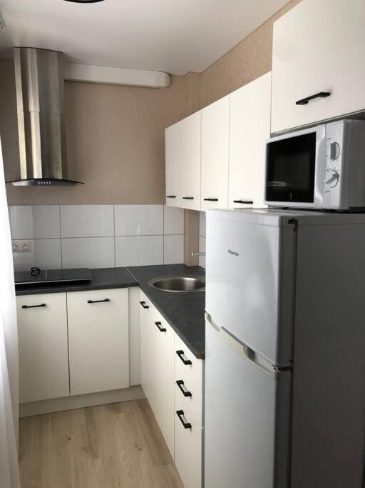 Kuchyň nebo kuchyňský kout v ubytování Like a home Voidu