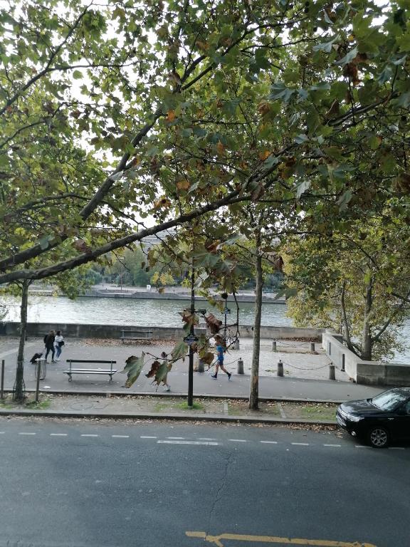 un parc avec des gens qui marchent, un banc et de l'eau dans l'établissement Lovely flat on the seine river, à Paris