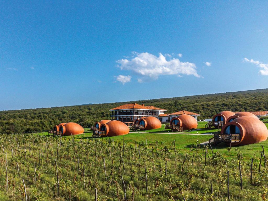 um grupo de cúpulas laranja num campo em Hotel Qvevrebi em Telavi