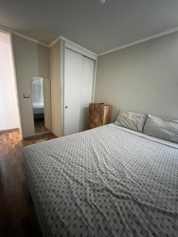 ein Schlafzimmer mit einem großen Bett und einem Spiegel in der Unterkunft HABITACIÓN GRANDE CON BAÑO en departamento compartido in Santiago