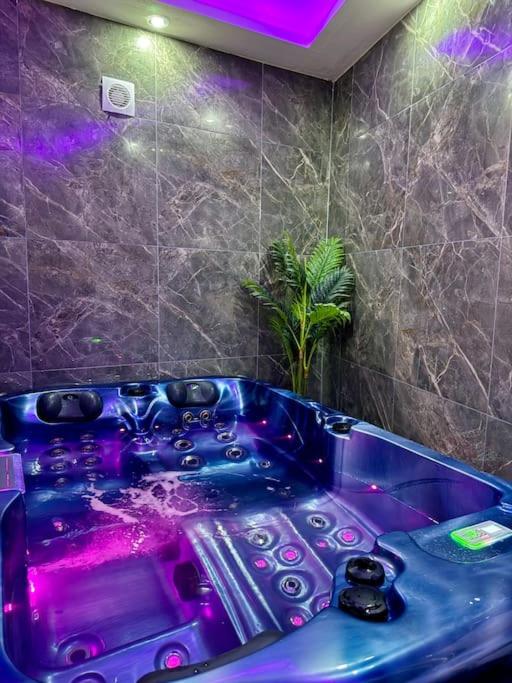 La salle de bains est pourvue d'une baignoire pourpre avec une plante. dans l'établissement La maison du Bien être, à Bolbec