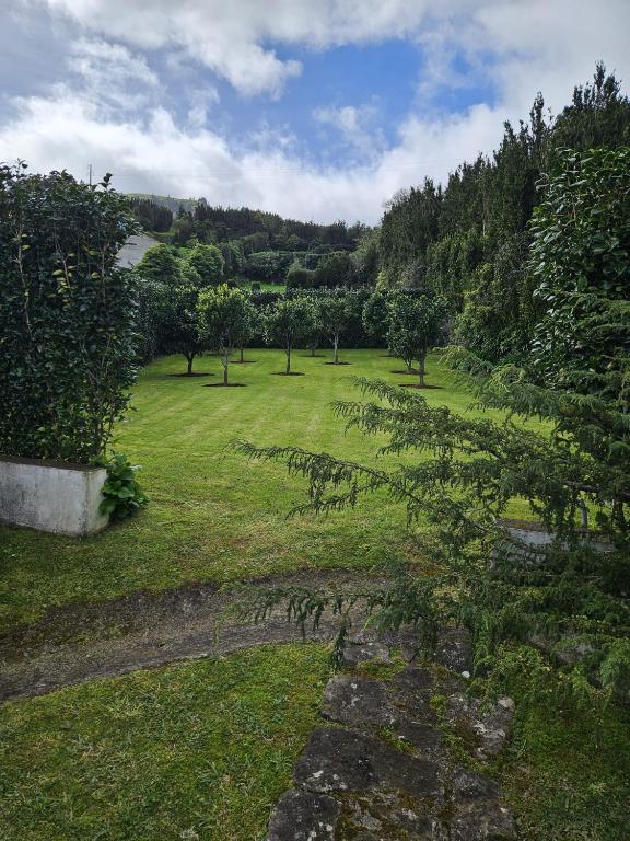 a field of grass with trees in the background at Casa do Simão in Nordeste