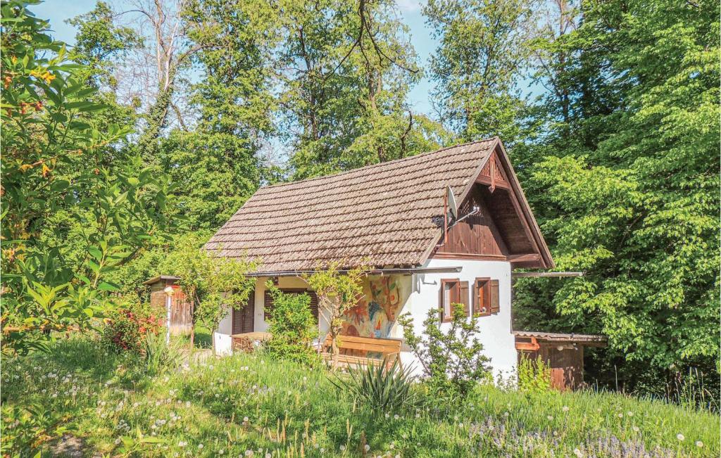 een klein wit huis met een bruin dak in een veld bij Nice Home In Heiligenbrunn With Kitchenette in Heiligenbrunn