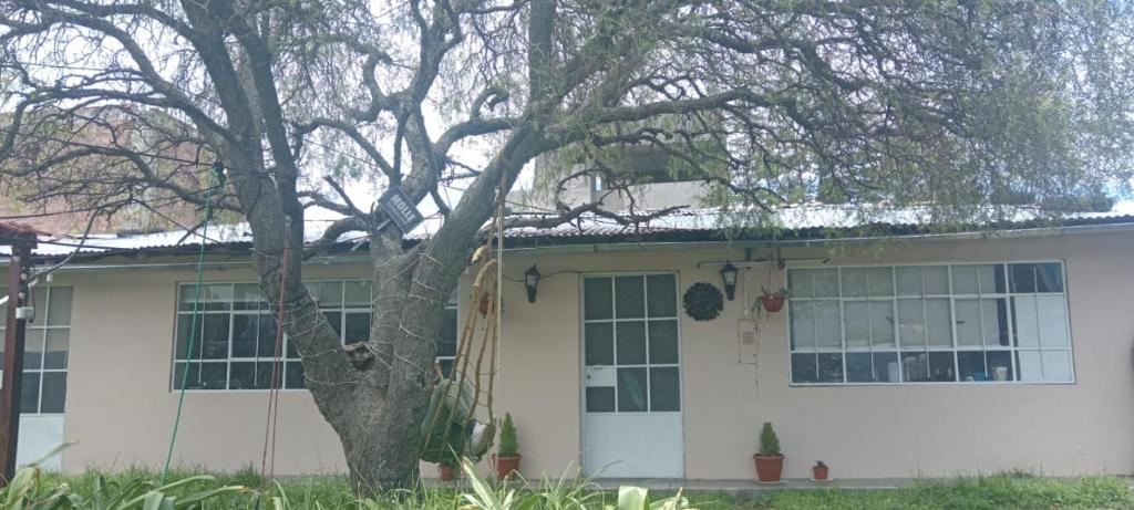 une maison blanche avec un arbre en face dans l'établissement CASAROMERO, à Huancayo