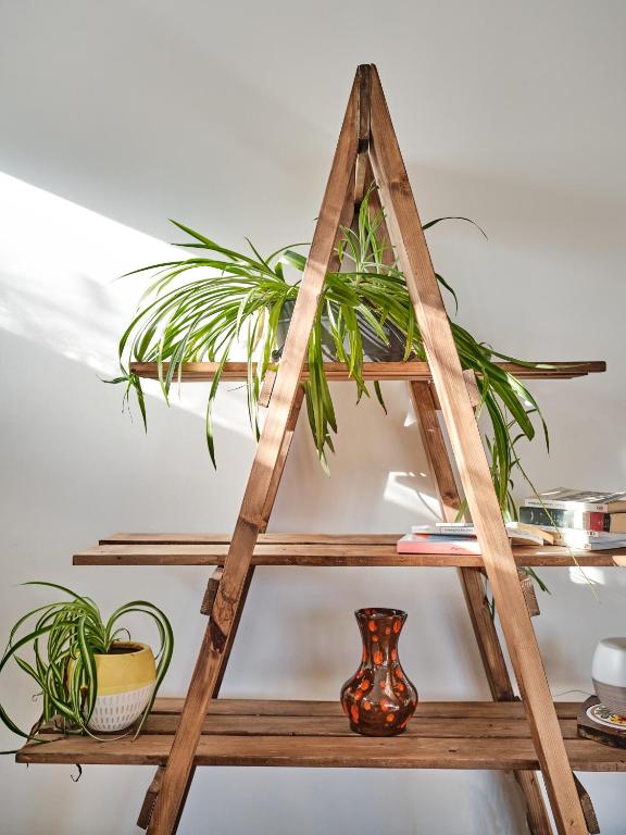 a wooden ladder shelf with a plant on it at BALCON BLANC - Auberge à Chicoutimi, Saguenay in Saguenay