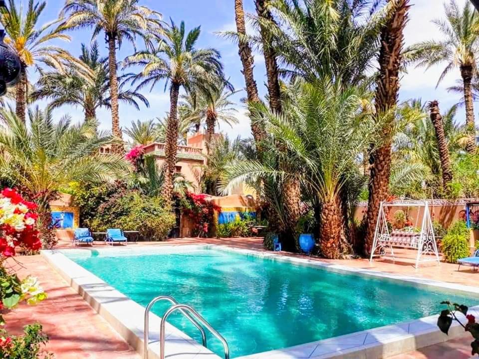 a swimming pool in a resort with palm trees at Chez Ali in Zagora