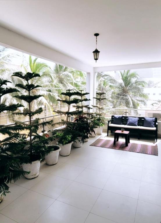 a living room filled with lots of potted plants at Bella casa in Dakar