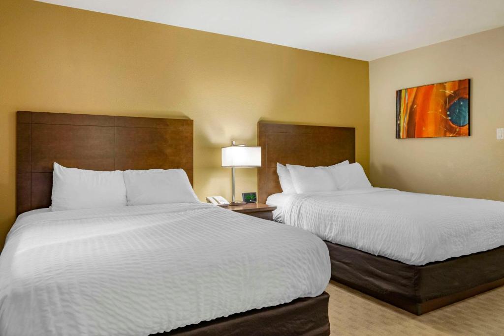 Postel nebo postele na pokoji v ubytování Quality Inn & Suites