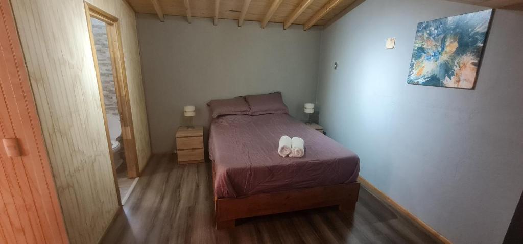 Departamento Los Leones en Villa O'higgins con WIFI