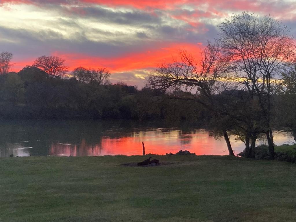 una puesta de sol sobre un cuerpo de agua con un árbol en Lazy River Cabin - On The River, Wifi, Free Attraction Tickets!!!, en Kodak