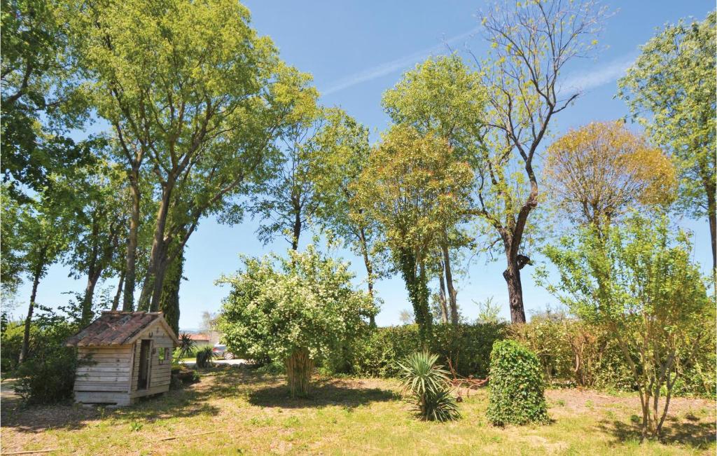 an old wooden shack in a garden with trees at Amazing Home In Barjac With 3 Bedrooms, Wifi And Outdoor Swimming Pool in Barjac