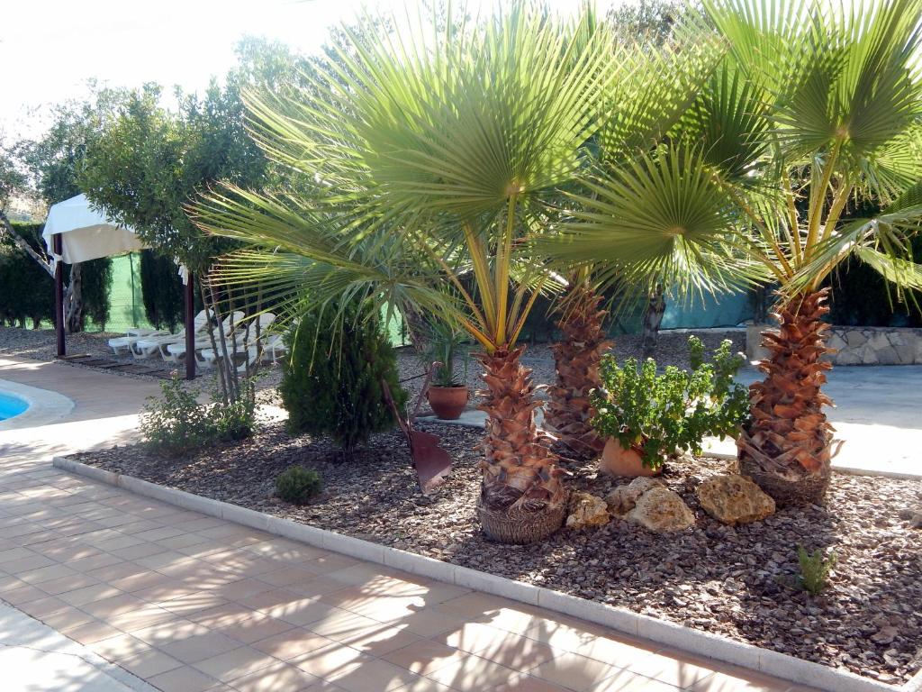 Zahrada ubytování Villa María - Pista de Padel y Piscina