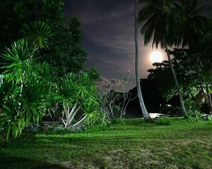 nachts ein Park mit Palmen und einem Straßenlicht in der Unterkunft วาเลนไทน์บังกะโล (Valentine Bungalow) in Ban Nikhom Soi