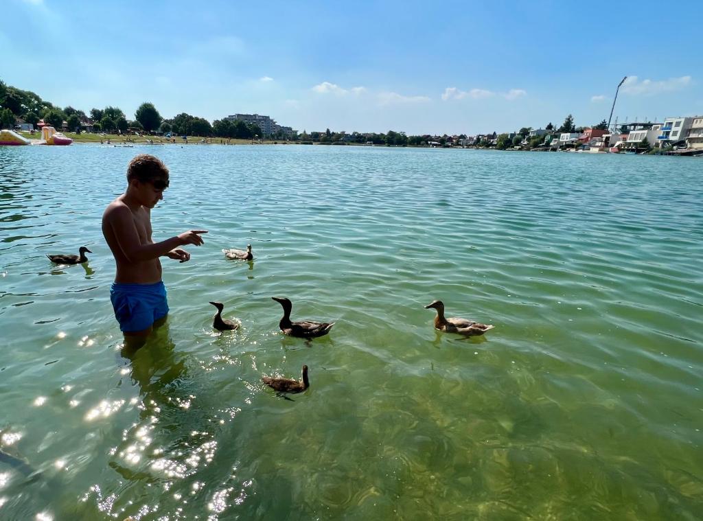 Príroda v okolí dovolenkového domu