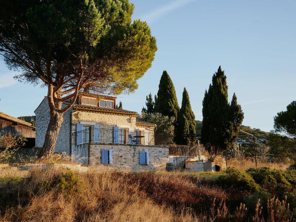 una vecchia casa di pietra in un campo con un albero di Domaine de Roquenégade - Piscine, sauna et bain nordique a Pradelles-en-Val