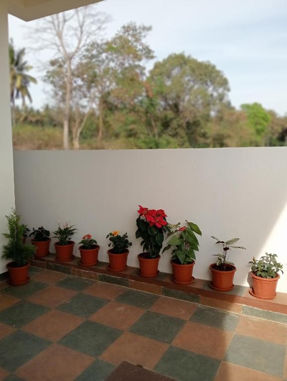 a row of potted plants sitting on a ledge at Sai Nivas Guest House Coorg in Kushālnagar