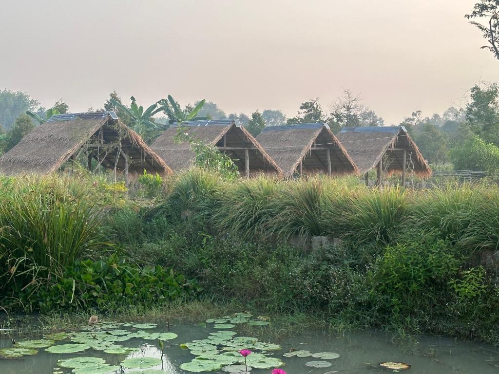 un groupe de cabanes dans un champ avec étang dans l'établissement NADOHN Camper, à Ban Nam Lai Ta Tum