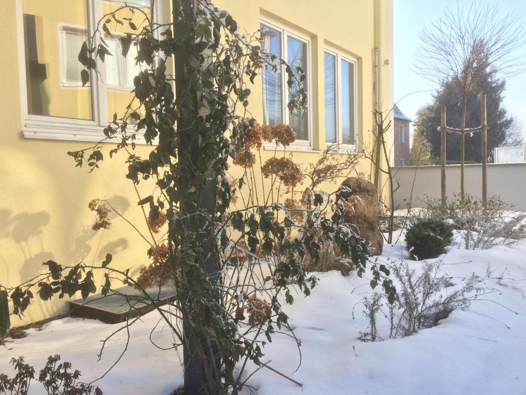 Alte Post - Budget Single Room