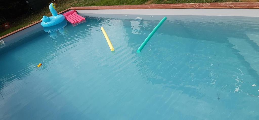 a pool with three plastic paddles in the water at Bonne Nuit in Bourg-Saint-Bernard