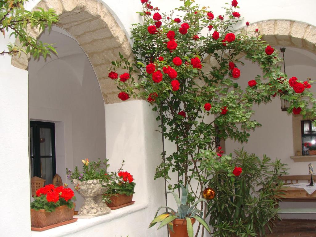 una habitación con flores rojas y plantas en jarrones en Gästehaus Hans Moser en Purbach am Neusiedlersee