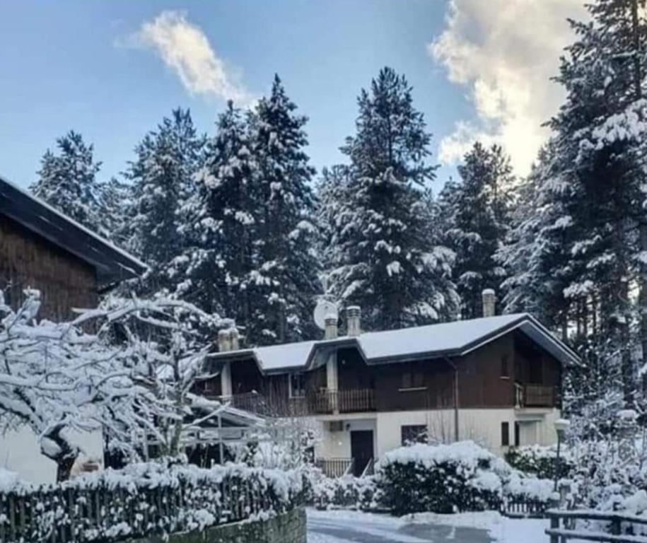 タベルナにあるRifugio Silanoの雪に覆われた木々の家