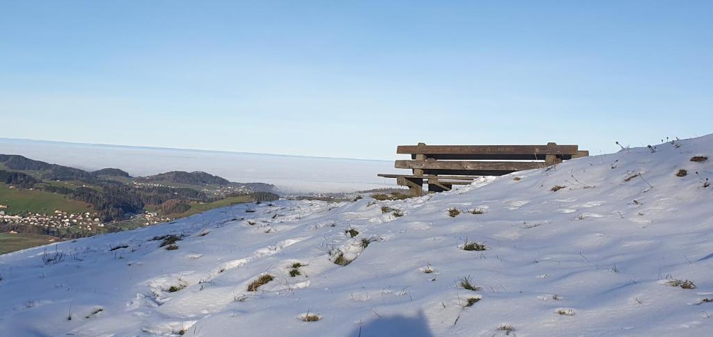 2 Zimmer Zentral-ruhig mit Flair Gertrud Schlössli 3Z2 - Resim 37