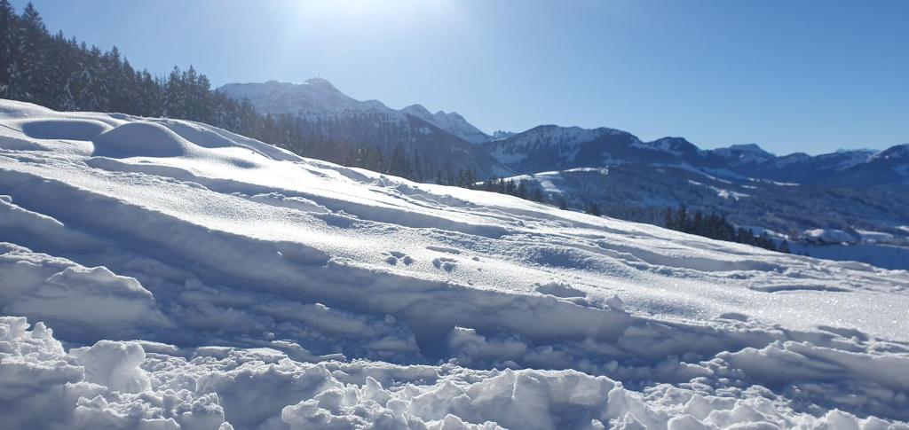 2 Zimmer Zentral-ruhig mit Flair Gertrud Schlössli 3Z2 - Resim 36