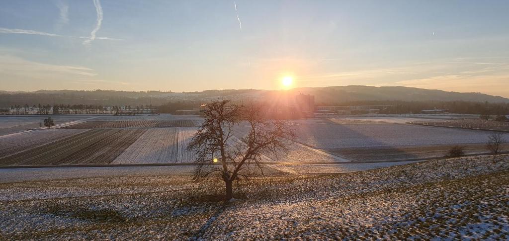 2 Zimmer Zentral-ruhig mit Flair Gertrud Schlössli 3Z2 - Resim 39