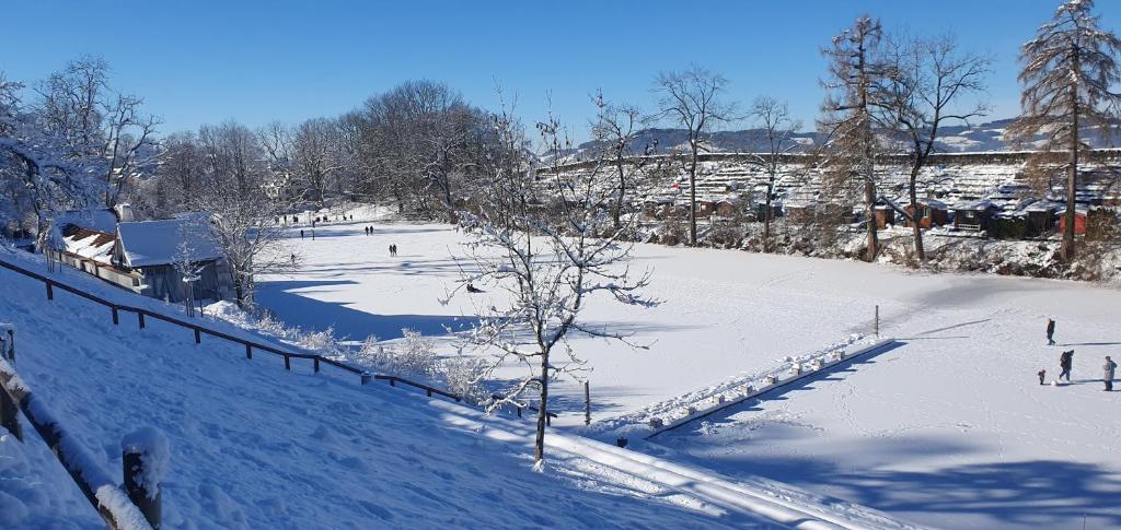 2 Zimmer Zentral-ruhig mit Flair Gertrud Schlössli 3Z2 - Resim 41