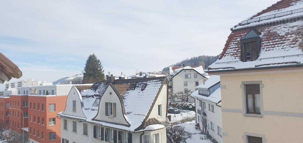 2 Zimmer Zentral-ruhig mit Flair Gertrud Schlössli v zimě