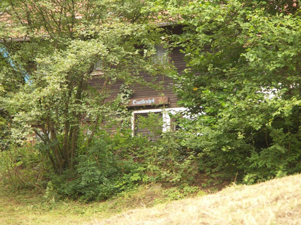 ein altes Haus, das von Bäumen und Büschen bedeckt ist in der Unterkunft Quellenhof Kollnburg in Kollnburg