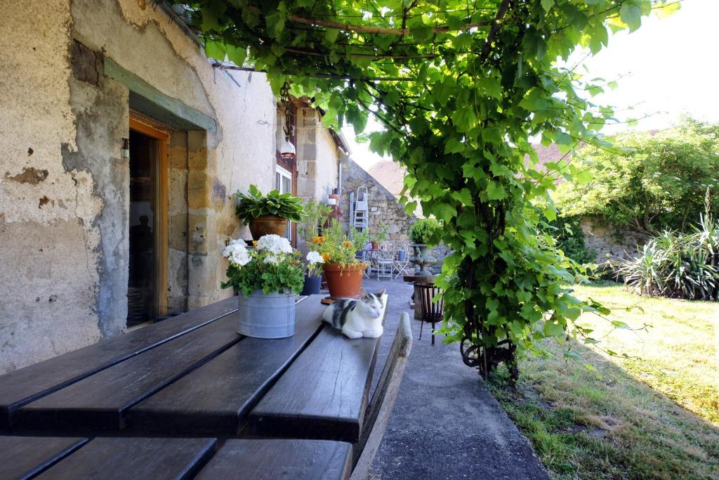 a wooden bench sitting outside of a building with plants at Sans Soucis in Épineuil-le-Fleuriel