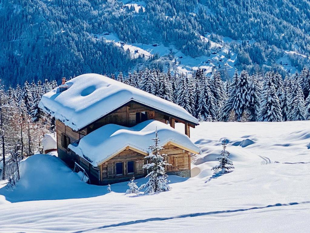 ein mit Schnee bedecktes Blockhaus auf einem Berg in der Unterkunft Paradis Perdu SKI IN & QUIET chalet 14 personnes in Les Collons