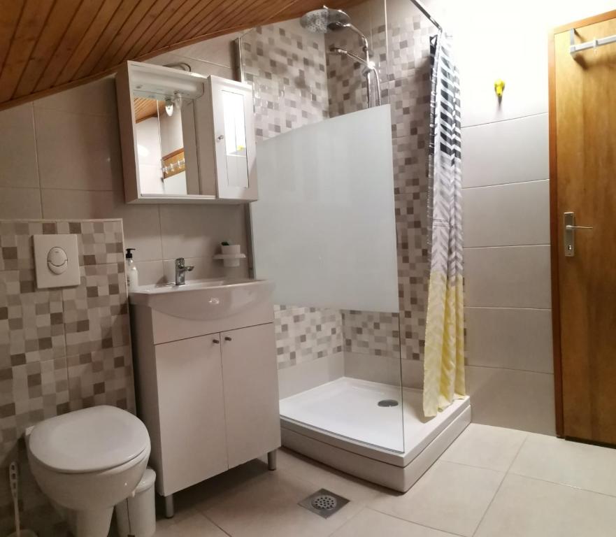 a bathroom with a shower and a toilet and a sink at 2-bedroom apartment with large terrace 3558-1 in Žuljana