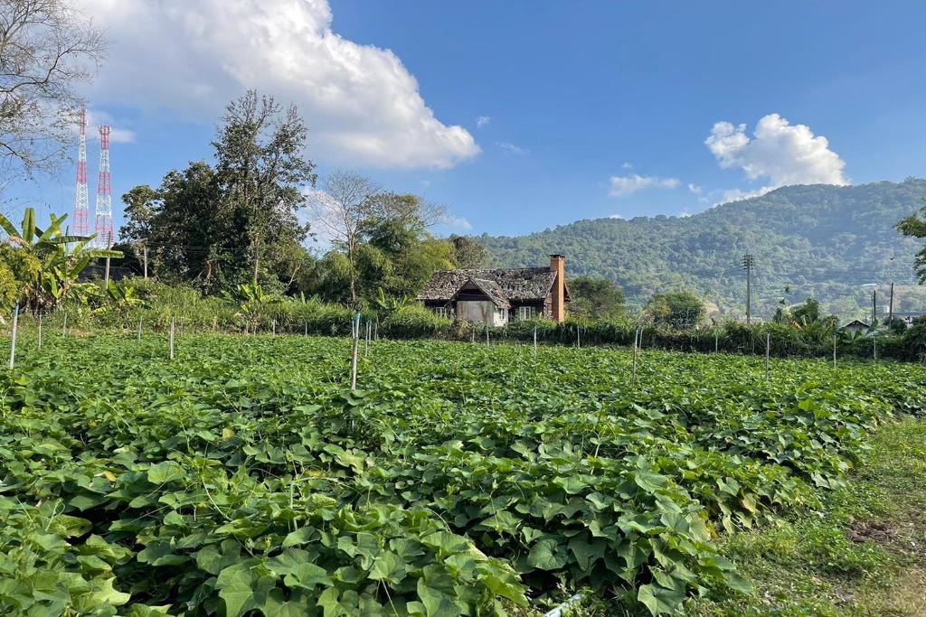 Phu Ing Fah Resort - Resim 28