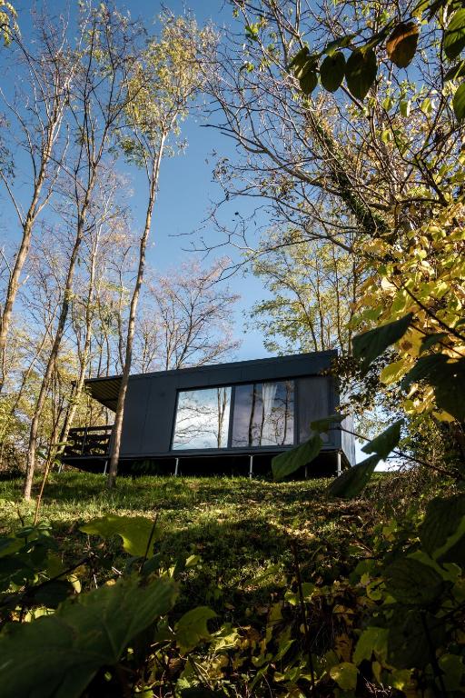 a glass house on a hill in the woods at Stüble Kabinok in Somogyhárságy
